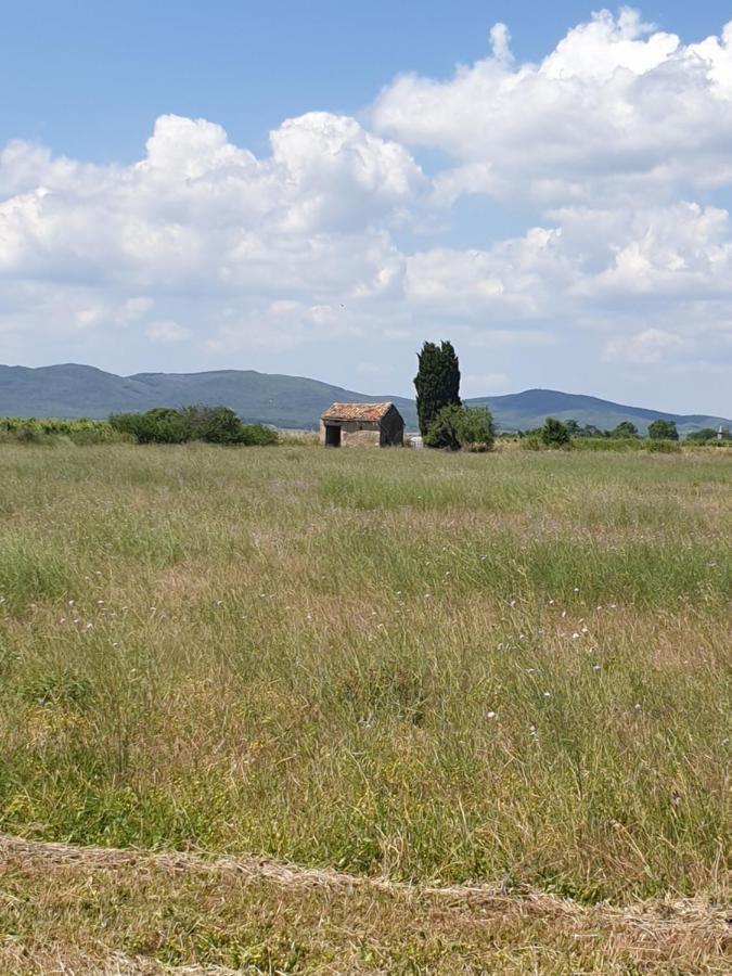 La Grange Du Cade Villa Magalas Exterior photo